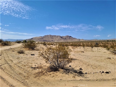 3030 Saddleback Rd, Joshua Tree, CA 92252 - photo 3