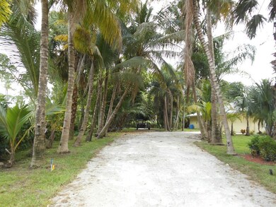 Beautiful Tree Lined Driveway