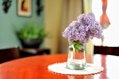 Lilac Tree Adorns the Yard & Home