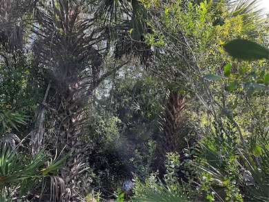 50204 Bermont Rd, Punta Gorda, FL 33982 - photo 2