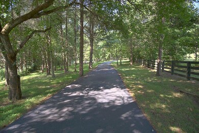 Two fenced in areas to the right of the driveway for the horses