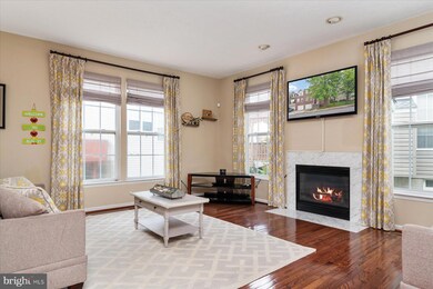 102 Egypt Farms Rd, Owings Mills, MD 21117 - photo 4