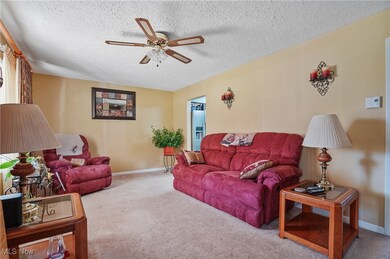 8291 State Route 88, Ravenna, OH 44266 - photo 3