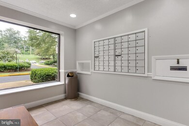 6143 Leesburg Pike unit 301, Falls Church, VA 22041 - photo 5
