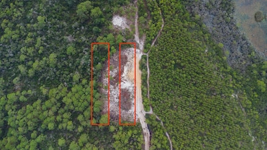 802 NE 13th St, Carrabelle, FL 32322 - photo 4