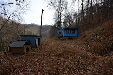 1067 Red Dog Rd, Grundy, VA 24614 - photo 4