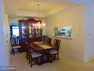 8823 Groffs Mill Dr unit 8823, Owings Mills, MD 21117 - photo 6