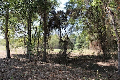 TBD Deerfield Ln, New Boston, TX 75570 - photo 5