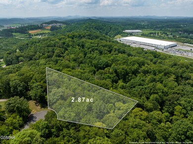 Lot 56 Blue Byrd Ln, Kodak, TN 37764 - photo 6