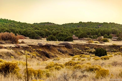 0 Cr 521 unit REC7490054, Walsenburg, CO 81089 - photo 2