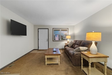 53 Thonen St, Rittman, OH 44270 - photo 6