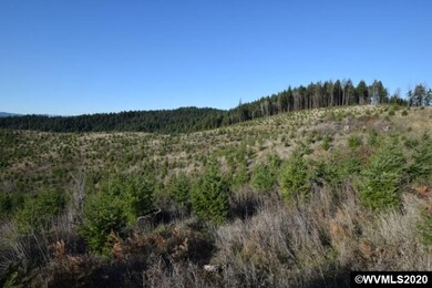 22000 Highway 47 (Block), Gaston, OR 97119 - photo 3