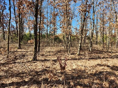 0 Koval Rd unit 22500378, Lyndon Station, WI 53944 - photo 3