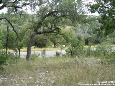 19707 Terra Mont, San Antonio, TX 78255 - photo 2