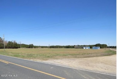 2460 Old U S Highway 74, Chadbourn, NC 28431 - photo 2