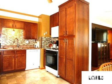 229 Welch Dr, Lincoln, IL 62656 - photo 6