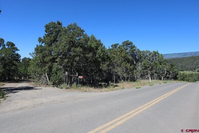20992 Uintah Rd, Cedaredge, CO 81413 - photo 5