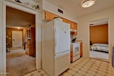 13663 N Garden Court Dr, Sun City, AZ 85351 - photo 6