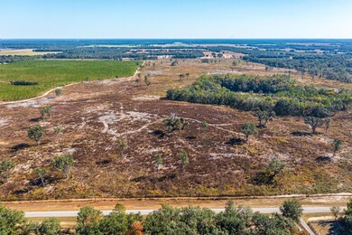 0 SW 282nd St, Newberry, FL 32669 - photo 4