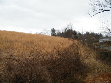 12.406 acres Turkey Creek Rd, Leicester, NC 28748 - photo 4