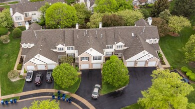 1650 Grove Ave unit A, Schaumburg, IL 60193 - photo 4