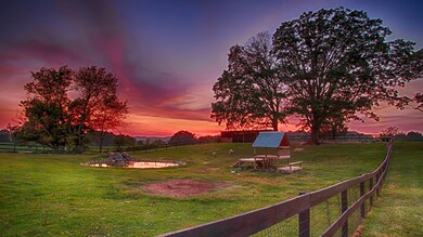 2407 Diggs Rd, Knoxville, TN 37932 - photo 3