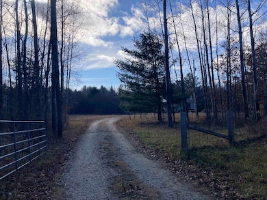 841 Grass Lake Rd, Gladwin, MI 48624 - photo 2