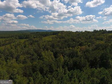 0 Johnson Mountain Rd unit 7402-B 10609008, Rydal, GA 30171 - photo 7