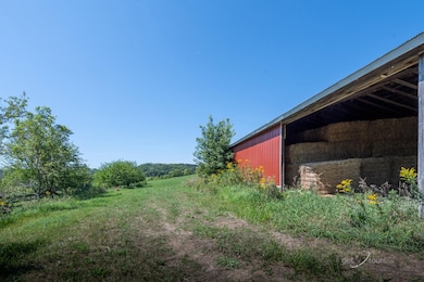 3175 W Mitchell Rd, Hanover, IL 61041 - photo 4