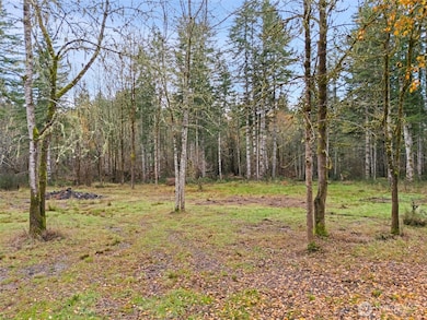 6191 E Pickering Rd, Shelton, WA 98584 - photo 4