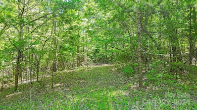 0 W T Wilkins Rd unit 11 CAR4136364, Rutherfordton, NC 28139 - photo 3