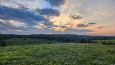 220 +/- Plumlee Rd, Compton, AR 72624 - photo 4