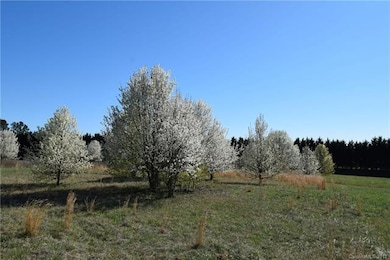 00 Evondale Rd, Crouse, NC 28033 - photo 7