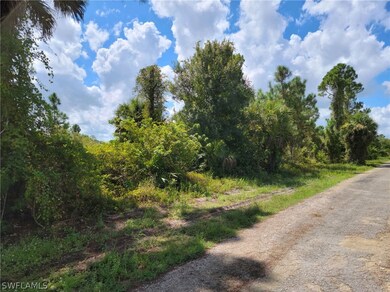 507 Montclair Ave S, Lehigh Acres, FL 33974 - photo 3