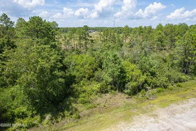 Lot 29 W South Shore, Boiling Spring Lakes, NC 28461 - photo 3