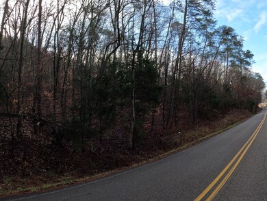 Tract 3 Lakeway Rd, Morristown, TN 37814 - photo 6