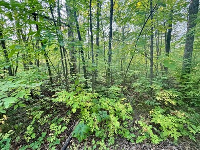 .55A On N Scipio Ave, Bass Lake, WI 54843 - photo 4