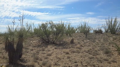 2401 E Skywatchers Dr, Vail, AZ 85641 - photo 7