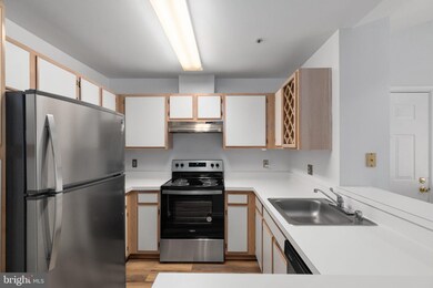 4406 Silverbrook Ln unit J302, Owings Mills, MD 21117 - photo 2