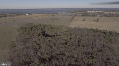 0 Horns Point Rd unit MDDO126986, Cambridge, MD 21613 - photo 3