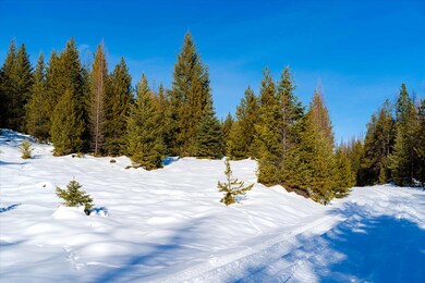 NHN Elk Creek - McGinnis Meadows Road Section 11, Libby, MT 59923 - photo 7