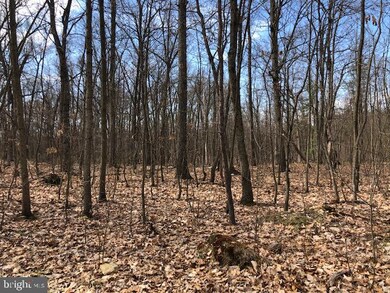 0 Means Hollow Rd unit PACB122764, Shippensburg, PA 17257 - photo 4