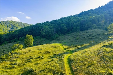 4690 Three Top Rd, Creston, NC 28615 - photo 3