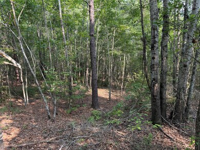 0 Best Rd, Simsboro, LA 71275 - photo 7