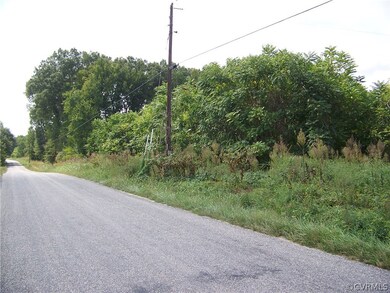 Looking south at the over-growth and tree stand.