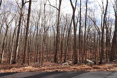 Route 301 New York 301, Carmel Hamlet, NY 10512 - photo 2