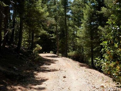 Looking down the driveway from the building site. 