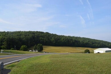 DSC_0358 (800x533)