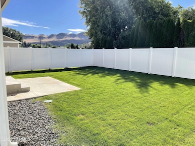 141 - Backyard 2