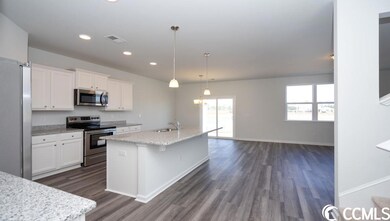 456 Harvest Ridge Way unit Lot 172- Hayden A, Conway, SC 29527 - photo 5